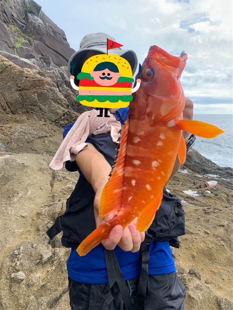 f:id:chigeofishyeah:20230910205148j:image f:id:chigeofishyeah:20230910205148j:image