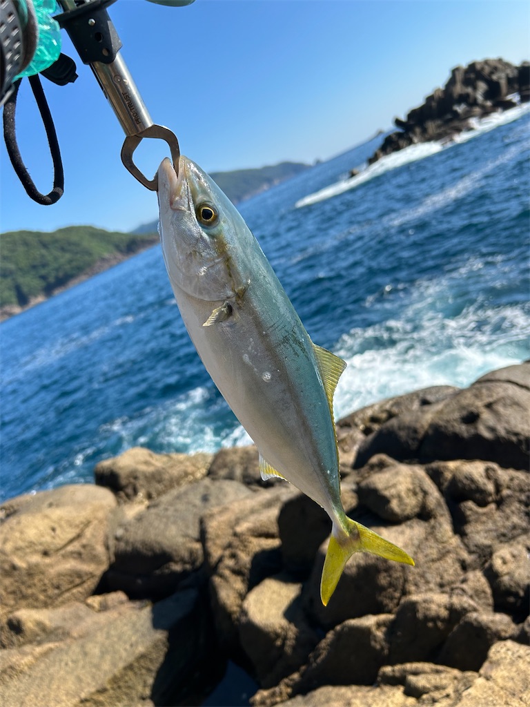 f:id:chigeofishyeah:20241013213301j:image f:id:chigeofishyeah:20241013213301j:image