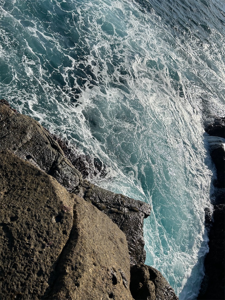 f:id:chigeofishyeah:20241013213340j:image f:id:chigeofishyeah:20241013213340j:image