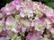 20250611222024