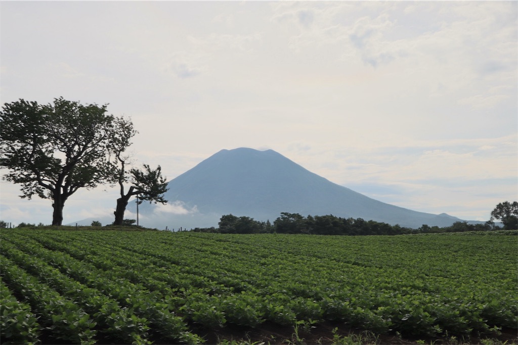 f:id:chigitantan:20180830201529j:image f:id:chigitantan:20180830201529j:image