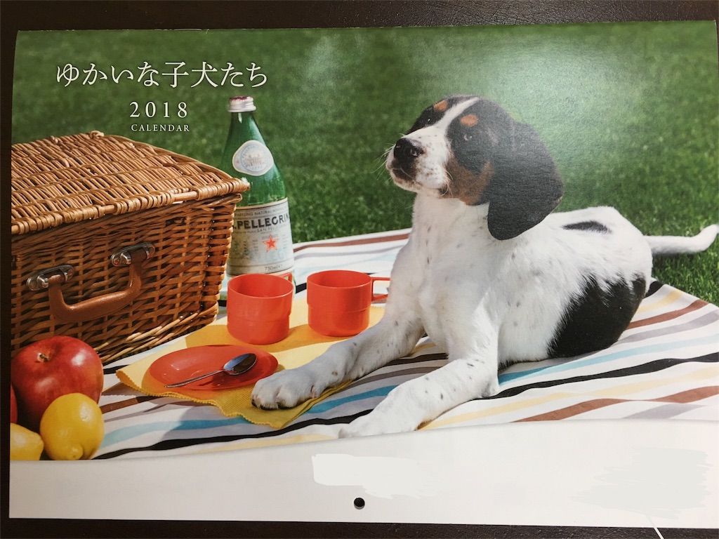 f:id:chigsajazzy:20180104120353j:image