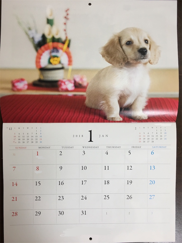 f:id:chigsajazzy:20180104120402j:image