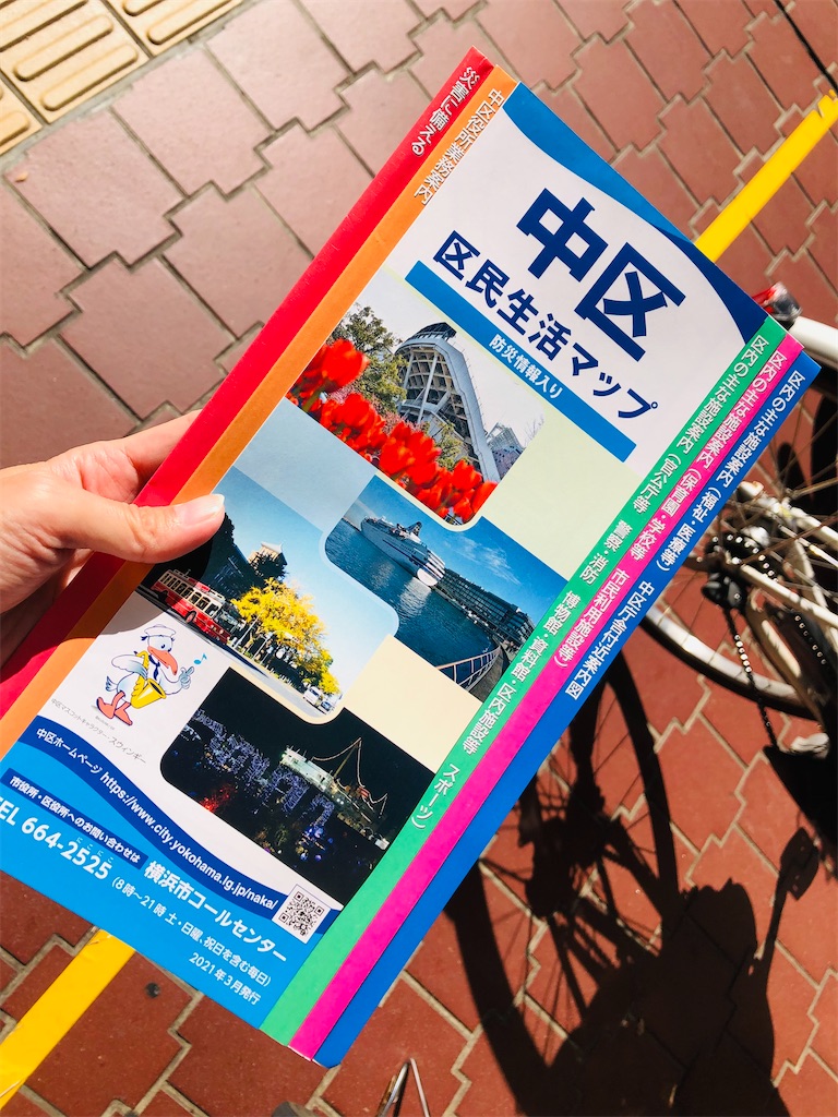 f:id:chigusaflower:20211111153301j:image