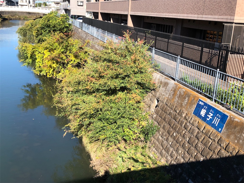 f:id:chigusaflower:20211112185727j:image