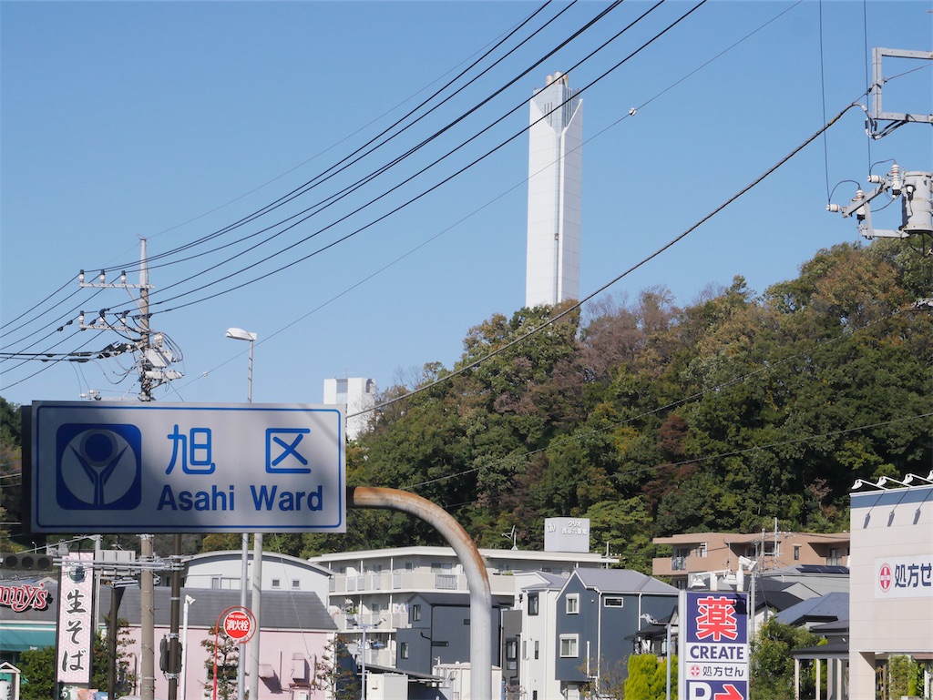 f:id:chigusaflower:20211112185732j:image