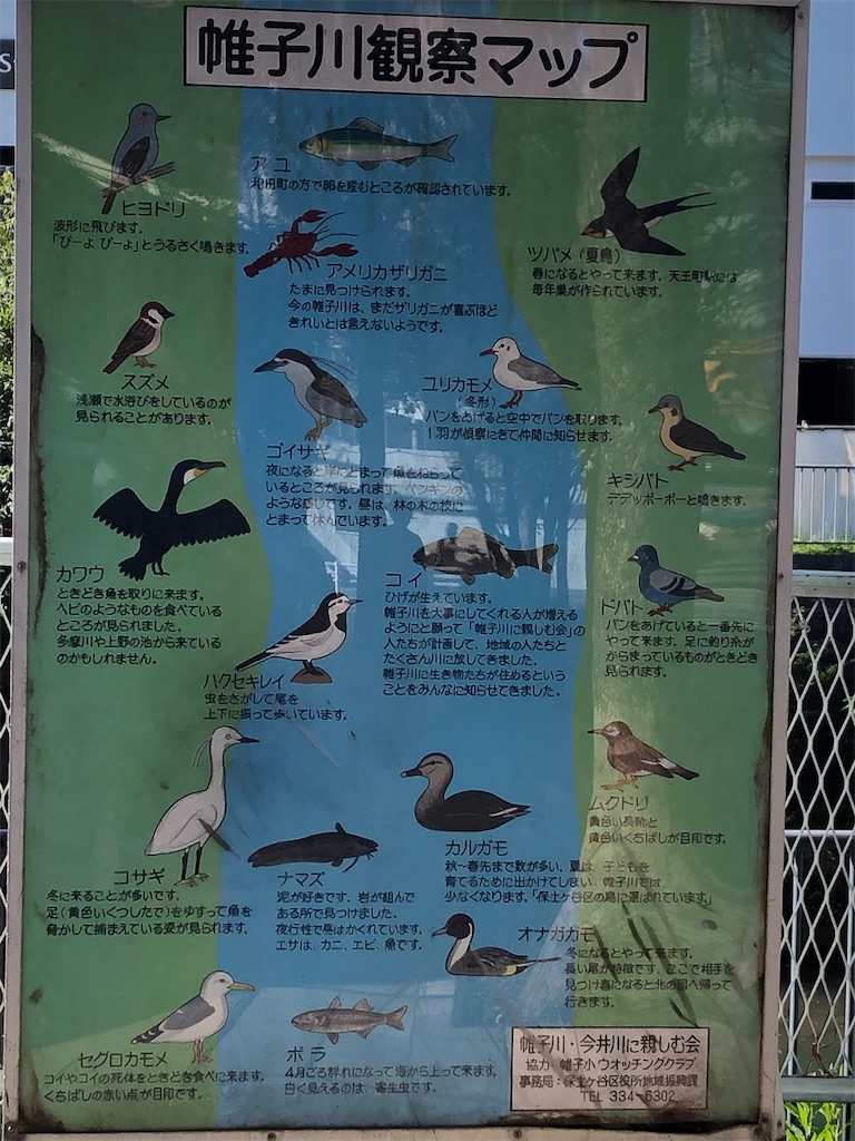 f:id:chigusaflower:20211112185735j:image