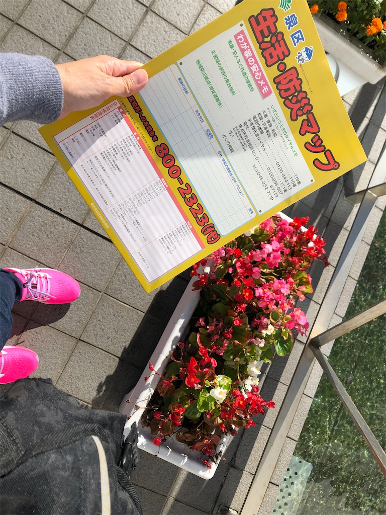f:id:chigusaflower:20211112185748j:image