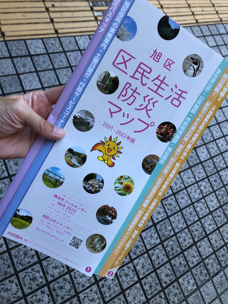 f:id:chigusaflower:20211112185750j:image