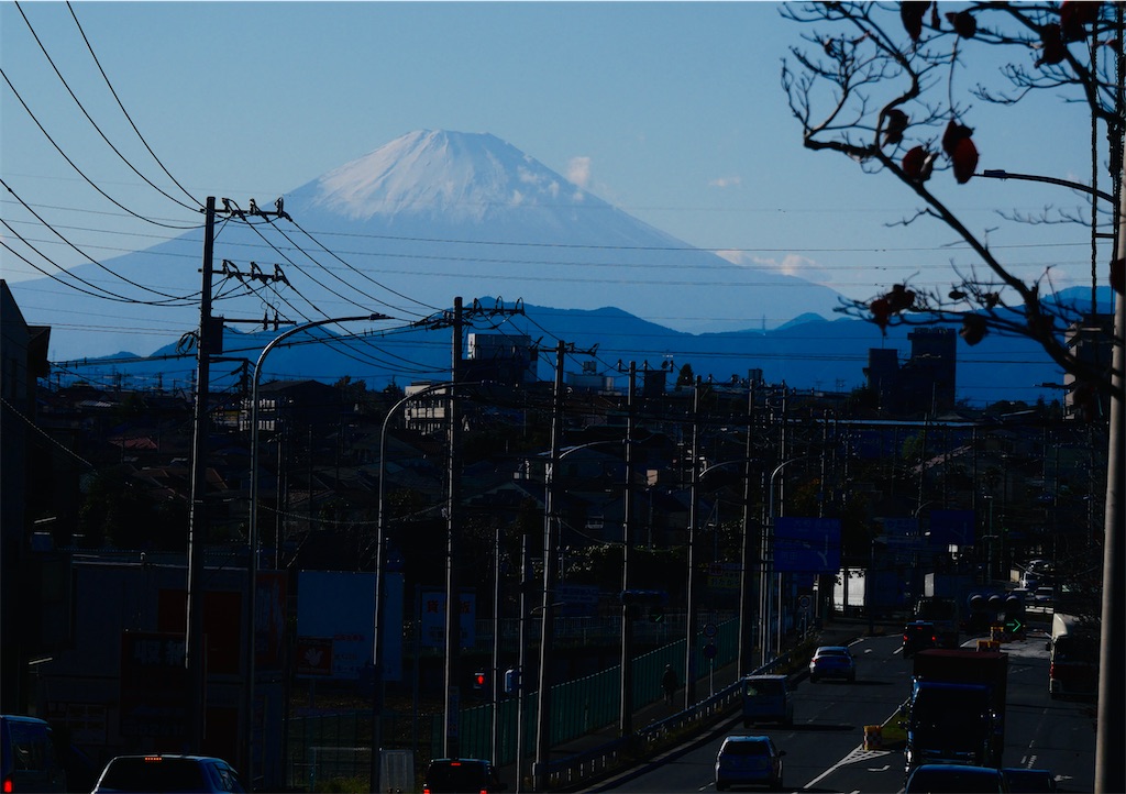 f:id:chigusaflower:20211112185813j:image