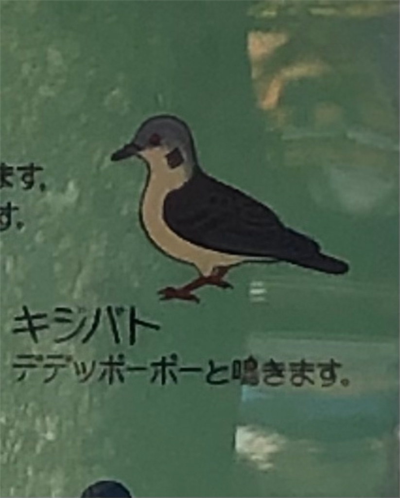 f:id:chigusaflower:20211112190631j:image