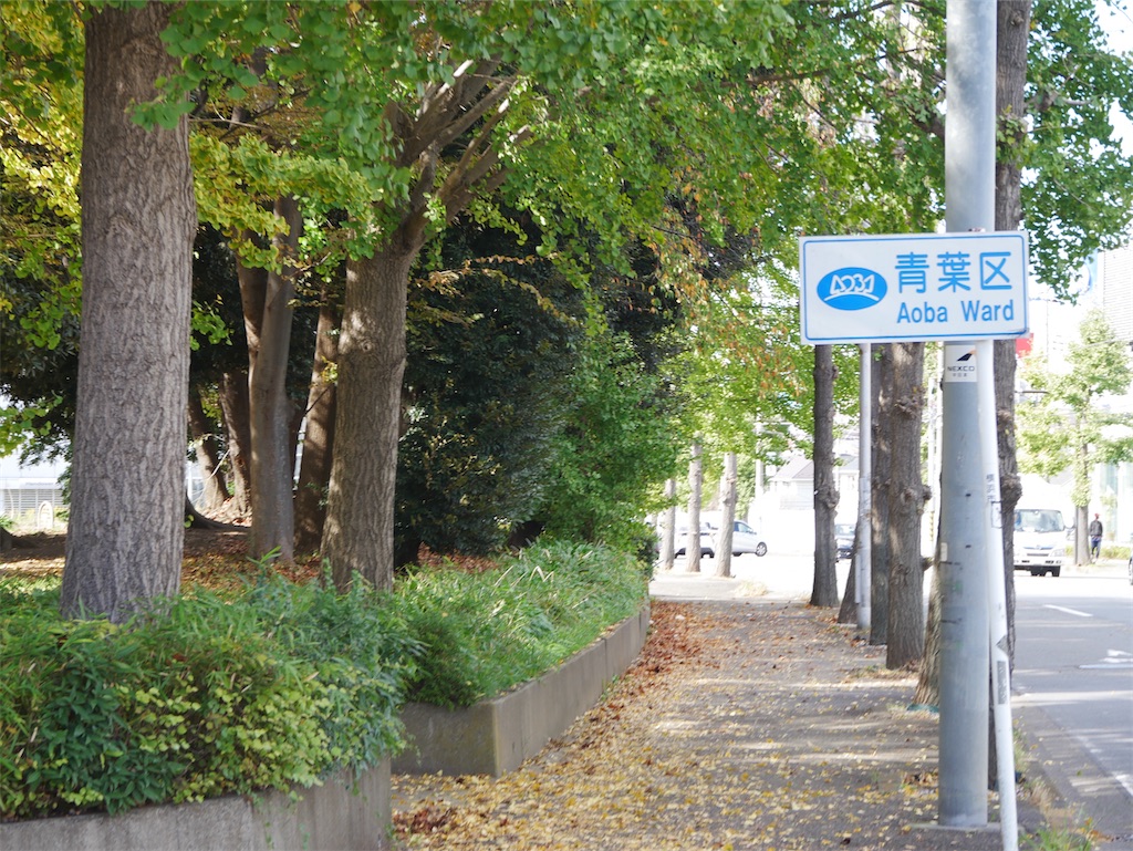 f:id:chigusaflower:20211113094751j:image
