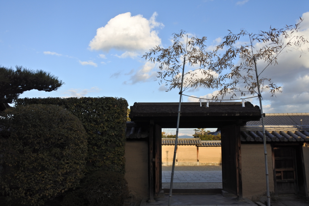 f:id:chihalog:20170204152252j:plain