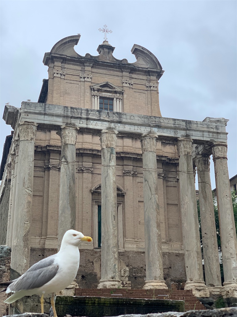 f:id:chihalun_lun:20190602224327j:image f:id:chihalun_lun:20190602224327j:image