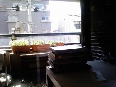 f:id:chihara747:20070410013525j:image f:id:chihara747:20070410013525j:image