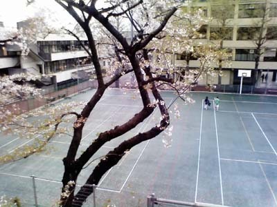 f:id:chihara747:20070410015215j:image f:id:chihara747:20070410015215j:image