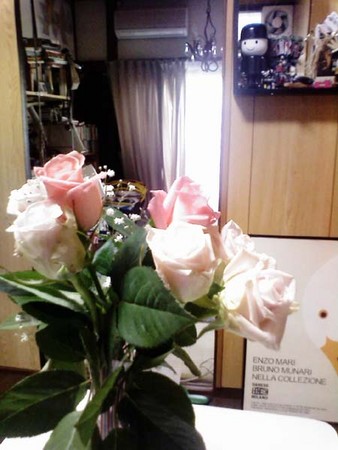 f:id:chihara747:20070423013024j:image f:id:chihara747:20070423013024j:image