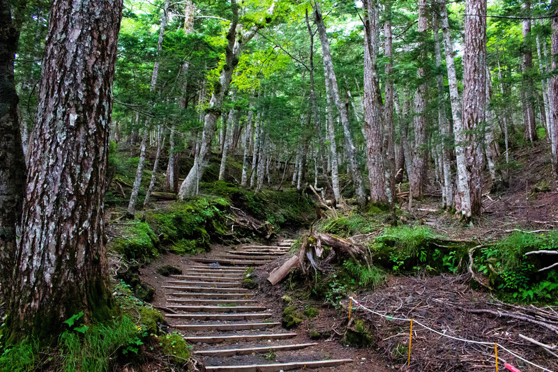 登山道の様子その1