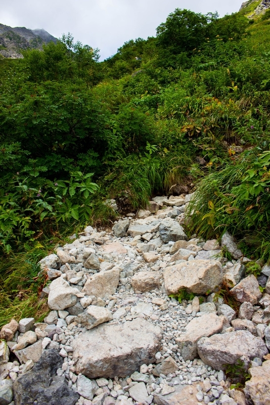 登山道の様子