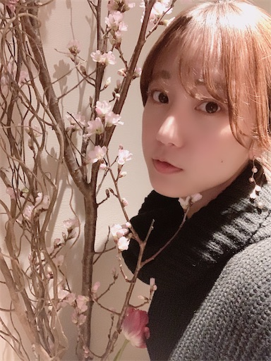 f:id:chihi_u:20200206000925j:image f:id:chihi_u:20200206000925j:image