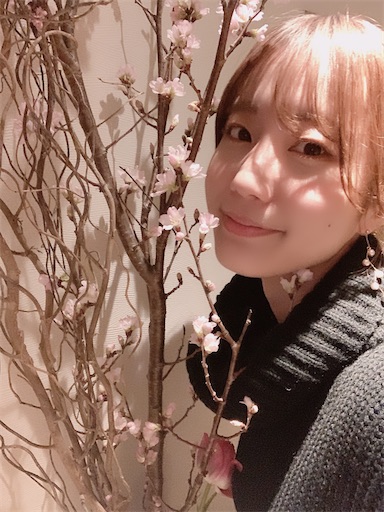 f:id:chihi_u:20200206000928j:image f:id:chihi_u:20200206000928j:image