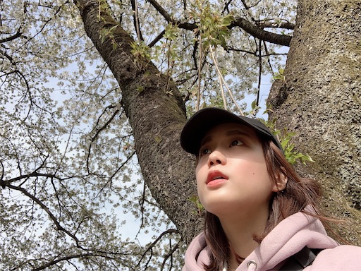 f:id:chihi_u:20200322212455j:image f:id:chihi_u:20200322212455j:image