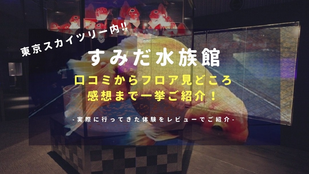 f:id:chihiro_dayori:20180306041038j:plain f:id:chihiro_dayori:20180306041038j:plain