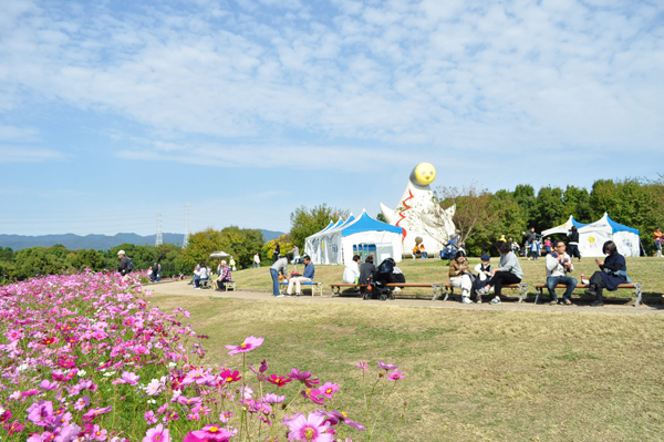 花の丘 コスモスフェスタ