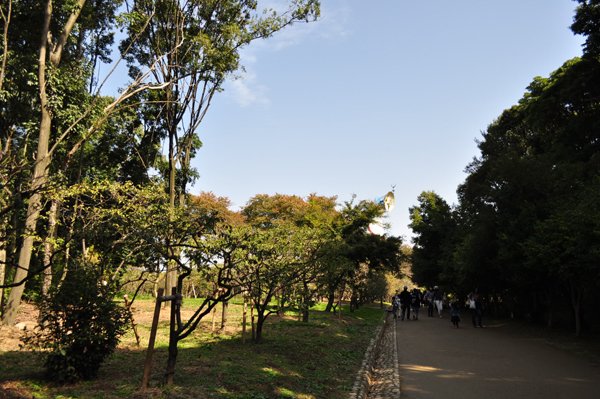 自然文化園内
