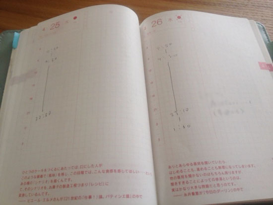 ほぼ日手帳の中身
