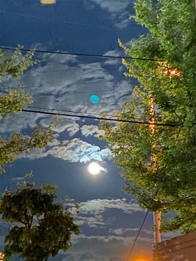 f:id:chihiroukiuki:20210725135437j:image