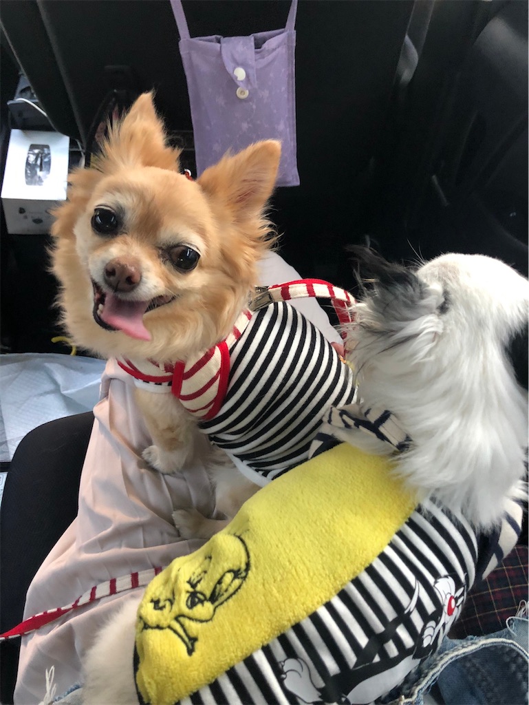 f:id:chihiroukiuki:20210802153935j:image f:id:chihiroukiuki:20210802153935j:image