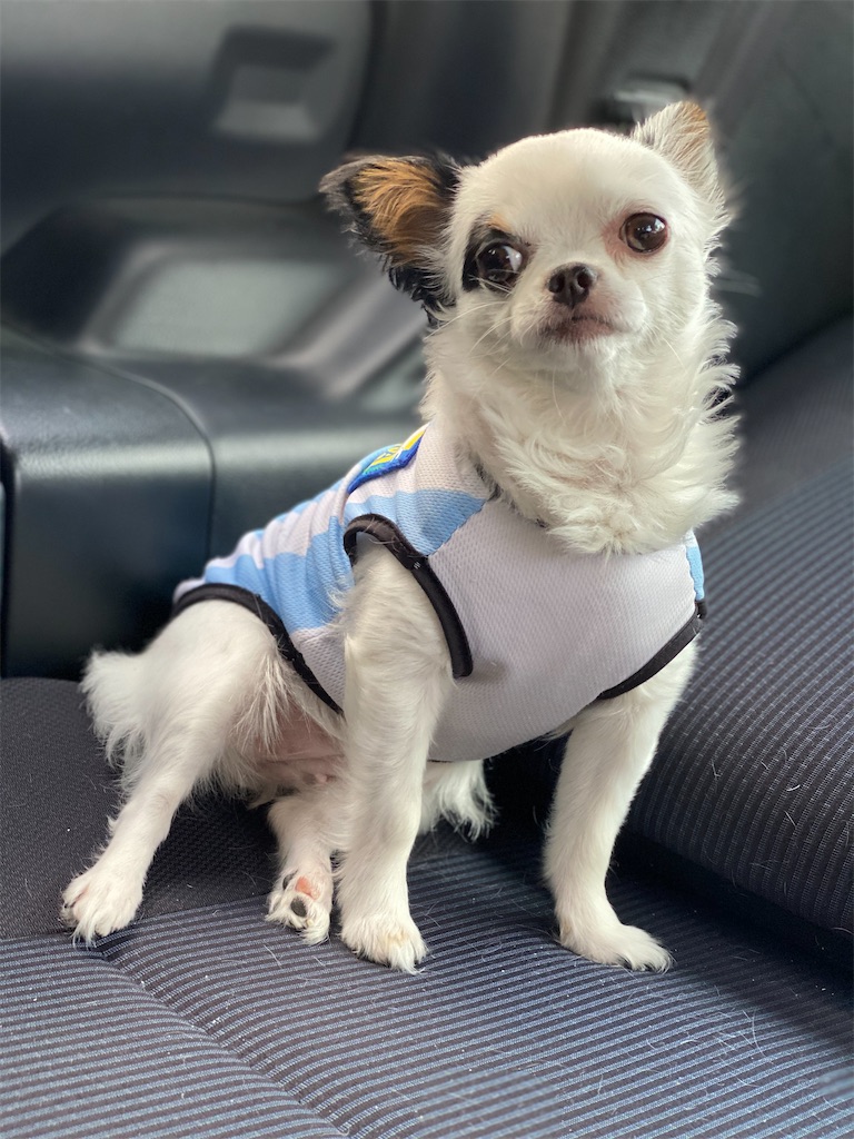 f:id:chihiroukiuki:20210802154151j:image f:id:chihiroukiuki:20210802154151j:image