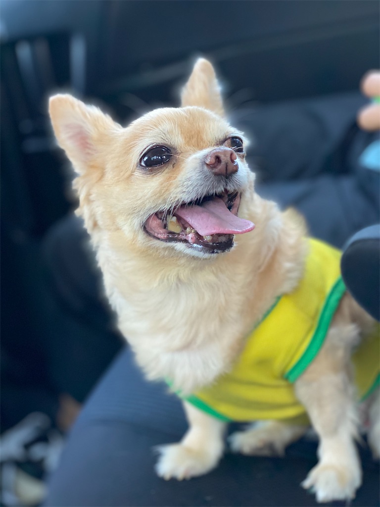 f:id:chihiroukiuki:20210802154154j:image f:id:chihiroukiuki:20210802154154j:image