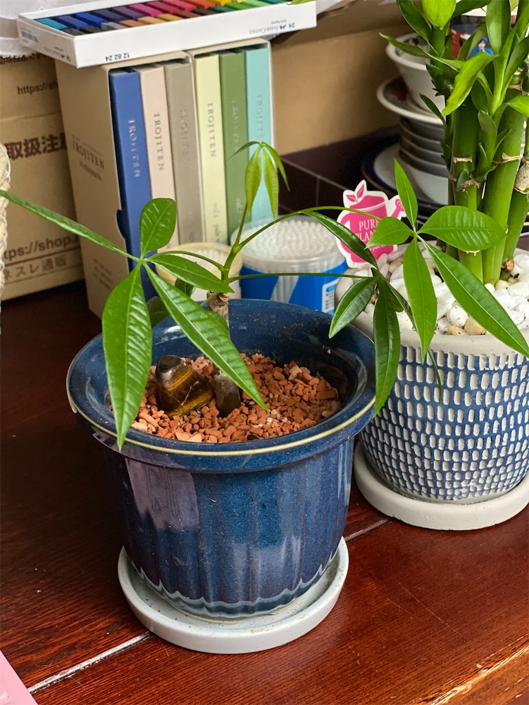 f:id:chihiroukiuki:20210813075354j:image