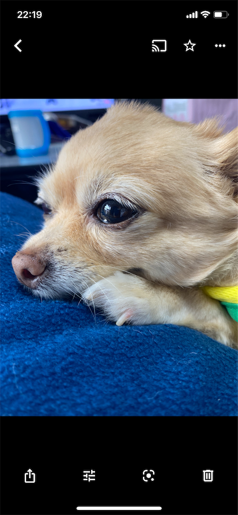 f:id:chihiroukiuki:20210815222854p:image f:id:chihiroukiuki:20210815222854p:image