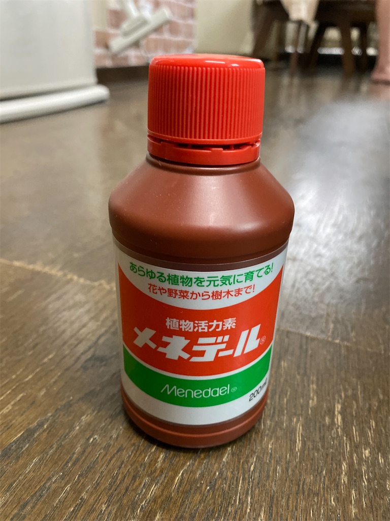 f:id:chihiroukiuki:20210903094251j:image f:id:chihiroukiuki:20210903094251j:image