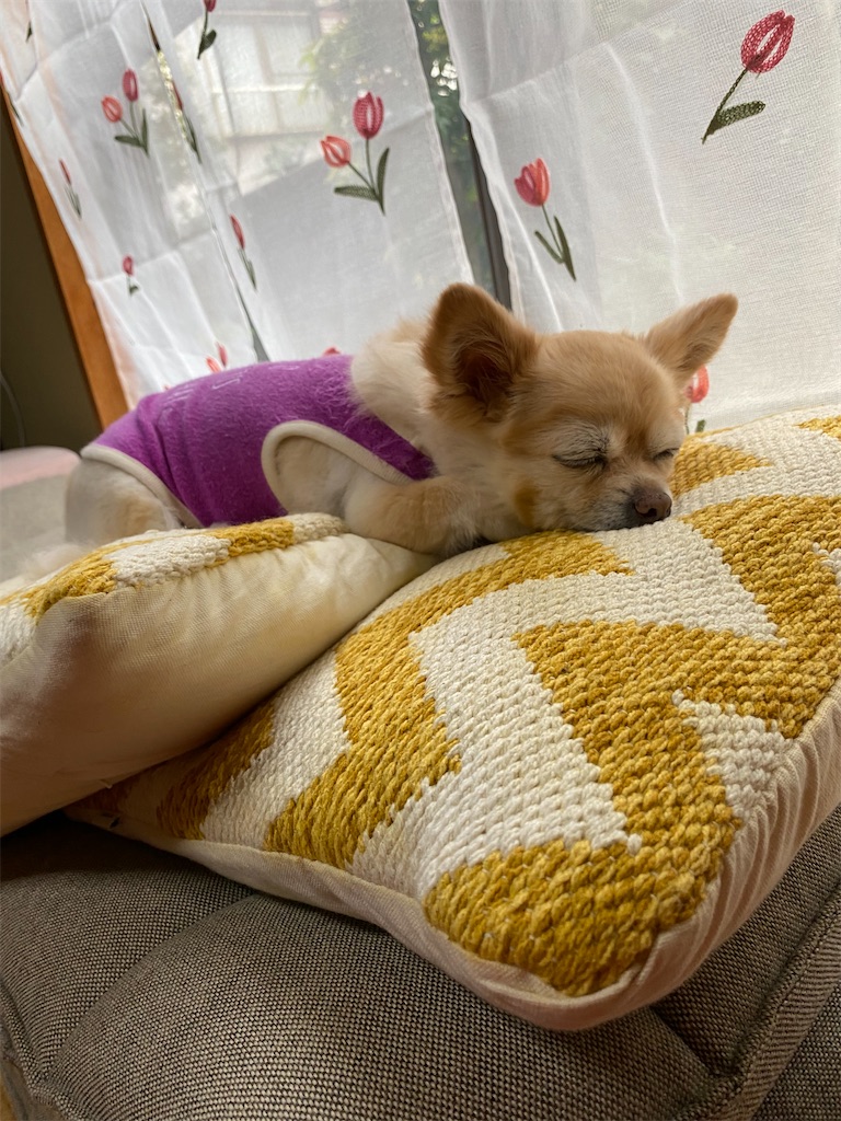 f:id:chihiroukiuki:20210911132301j:image