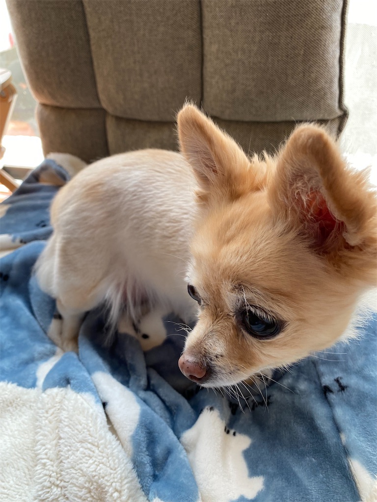 f:id:chihiroukiuki:20210915234135j:image f:id:chihiroukiuki:20210915234135j:image