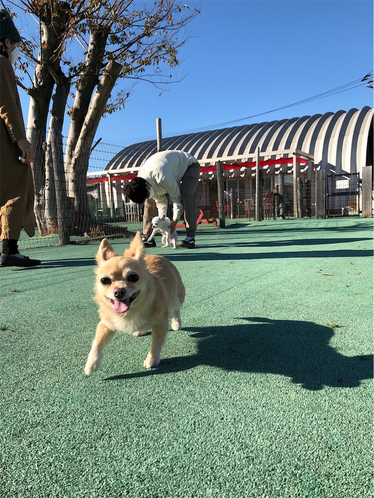 f:id:chihiroukiuki:20210919103857j:image f:id:chihiroukiuki:20210919103857j:image