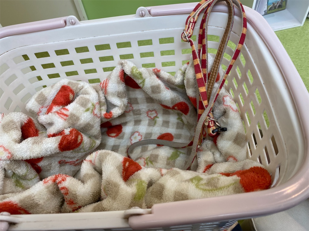 f:id:chihiroukiuki:20210929224246j:image f:id:chihiroukiuki:20210929224246j:image