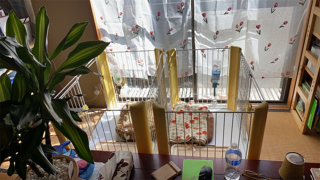 f:id:chihiroukiuki:20210929224347j:image f:id:chihiroukiuki:20210929224347j:image