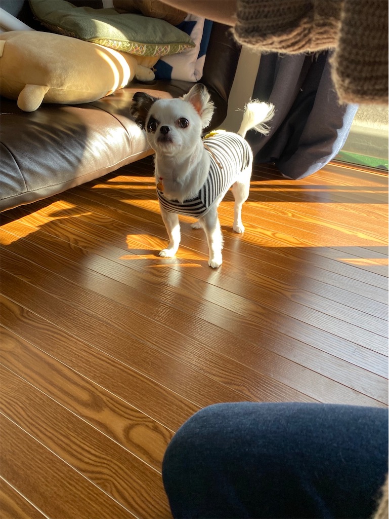 f:id:chihiroukiuki:20211030225005j:image