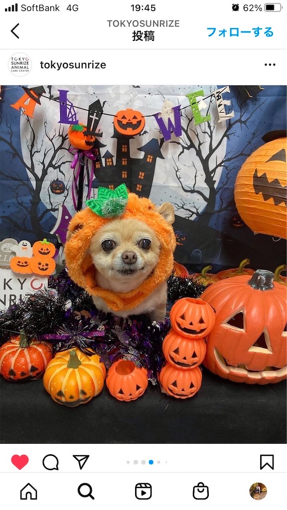 f:id:chihiroukiuki:20211030225347j:image