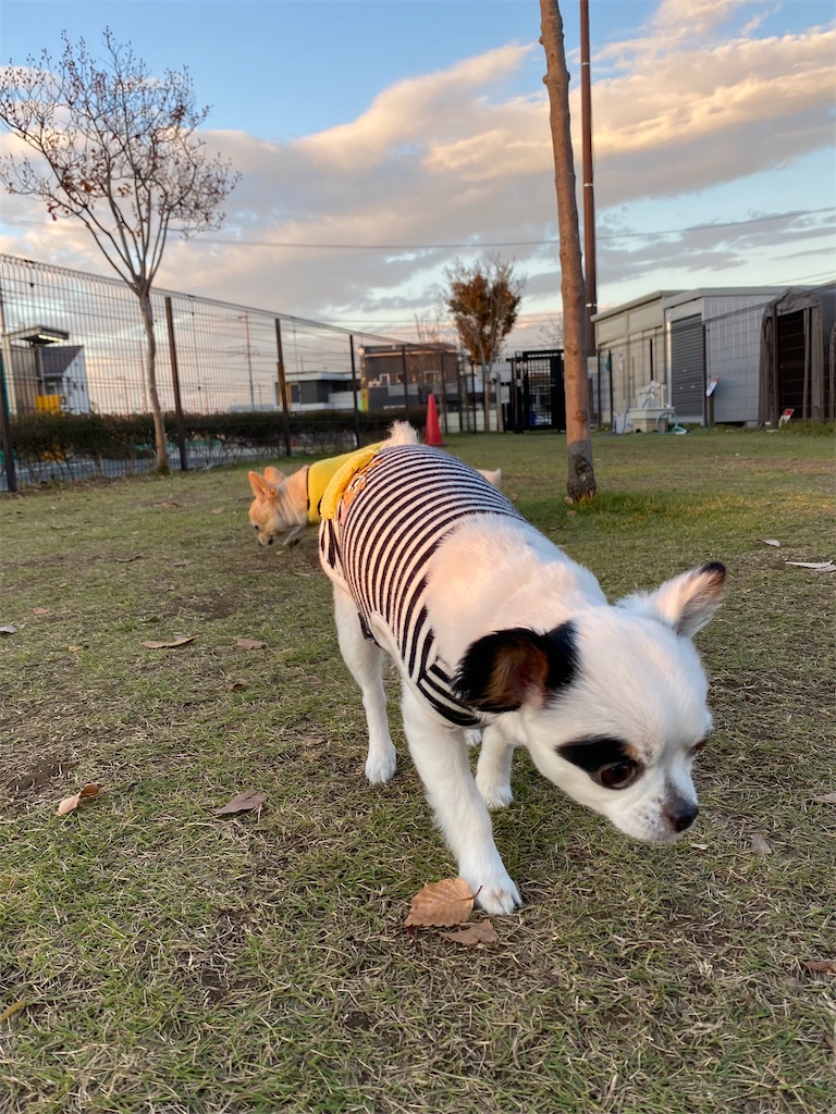 f:id:chihiroukiuki:20211106093929j:image