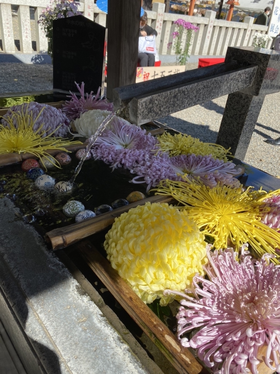 f:id:chihiroukiuki:20211112234614j:plain