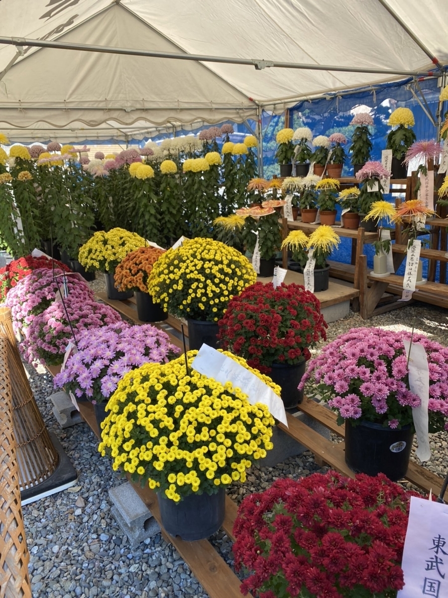 f:id:chihiroukiuki:20211112235251j:plain