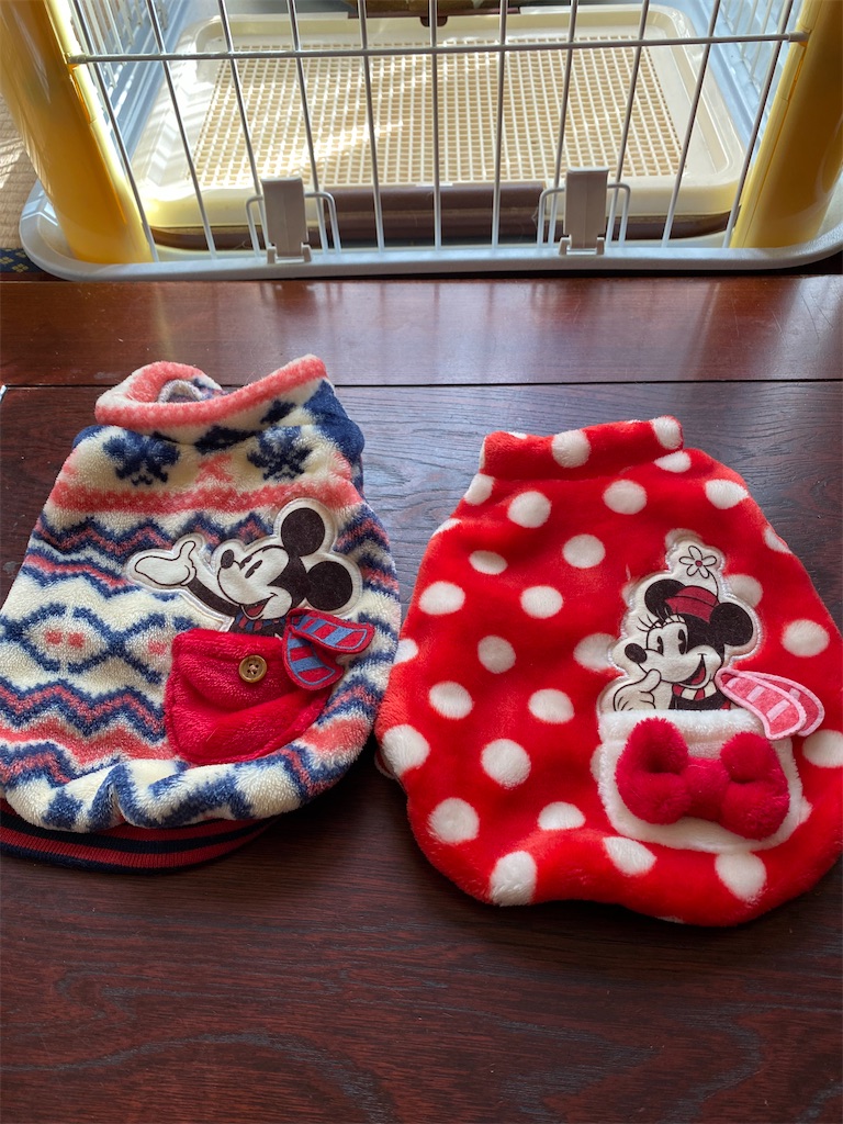 f:id:chihiroukiuki:20211128162125j:image f:id:chihiroukiuki:20211128162125j:image