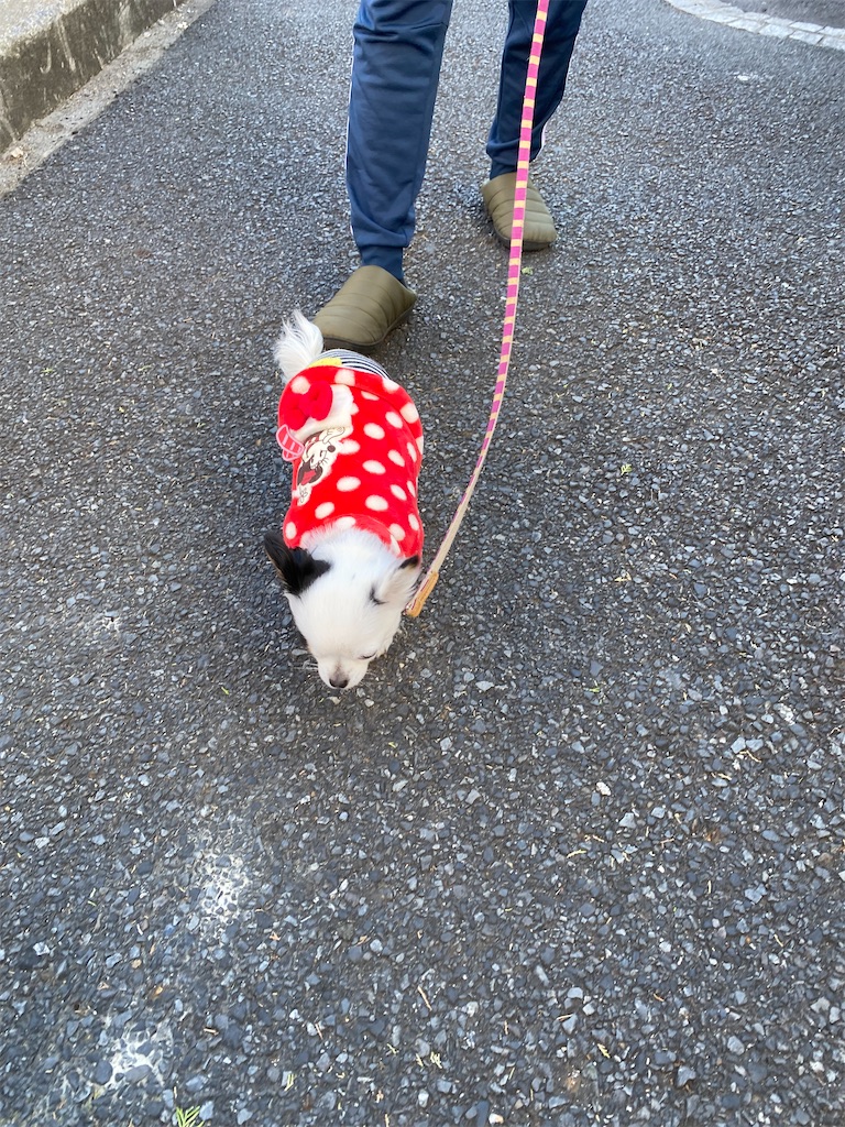 f:id:chihiroukiuki:20211128162414j:image f:id:chihiroukiuki:20211128162414j:image