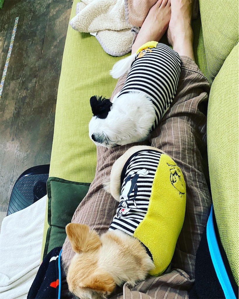 f:id:chihiroukiuki:20211206002317j:image